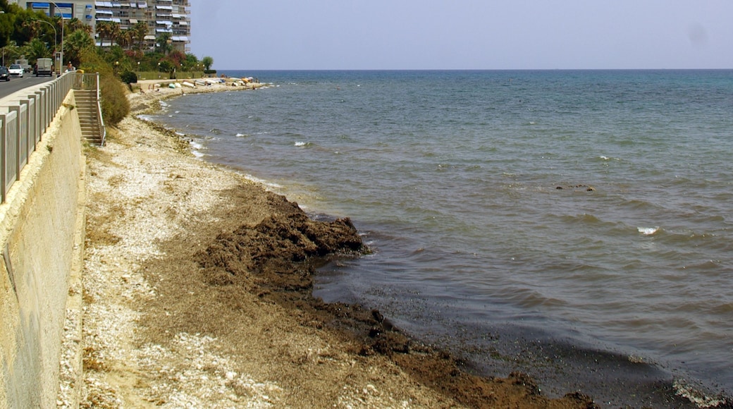 Foto "Playa de San Juan" de Concepcion AMAT ORTA… (CC BY) / Recortada de la original