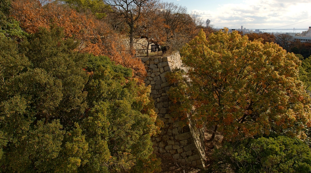 Foto "Castello di Akashi" di 663highland (CC BY) / Ritaglio dell’originale