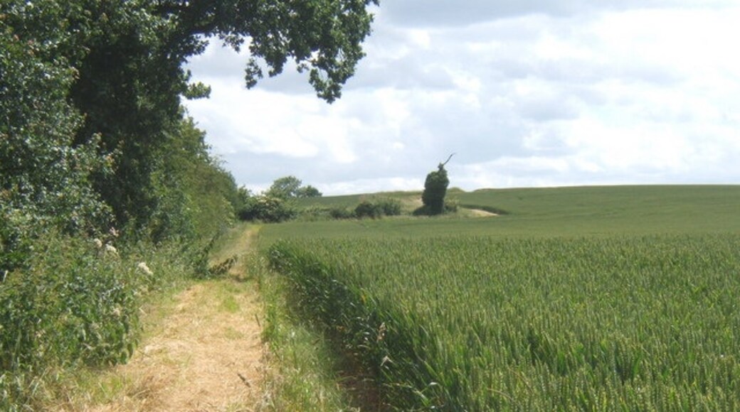 Photo "Dallinghoo" by Andrew Hill (CC BY-SA) / Cropped from original