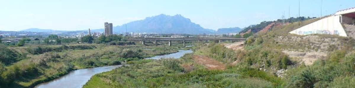 Photo "This is a a photo of a natural area in Catalonia, Spain, with id:" by Pere prlpz (Creative Commons Attribution-Share Alike 3.0) / Cropped from original