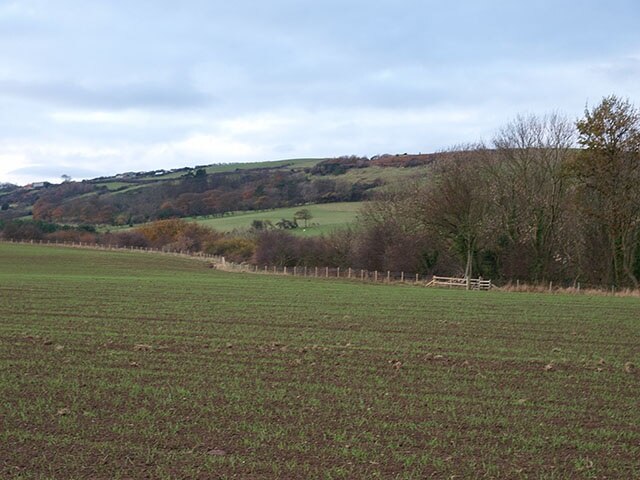 Kuva ”Newton Mulgrave” käyttäjältä Stephen McCulloch (CC BY-SA) / rajattu alkuperäisestä kuvasta