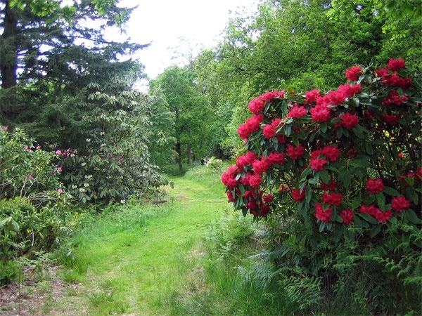 Highwood Gardens, Drax Estate The ten acres of gardens are renowned for their rhododendrons and azaleas and are occasionally open to the public to raise money for charitable causes.