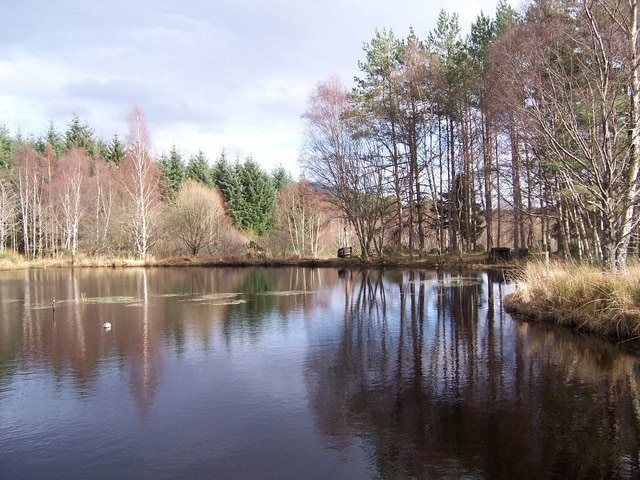 The lochan in the north-east corner of the square. Complete with plastic decoy duck.