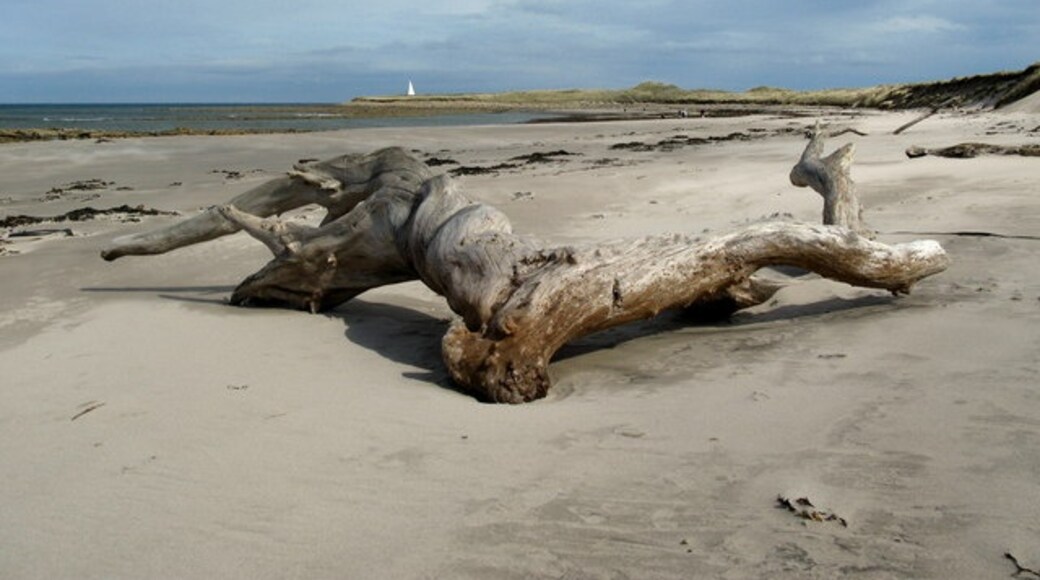 Photo "Sandham" by Lisa Jarvis (CC BY-SA) / Cropped from original