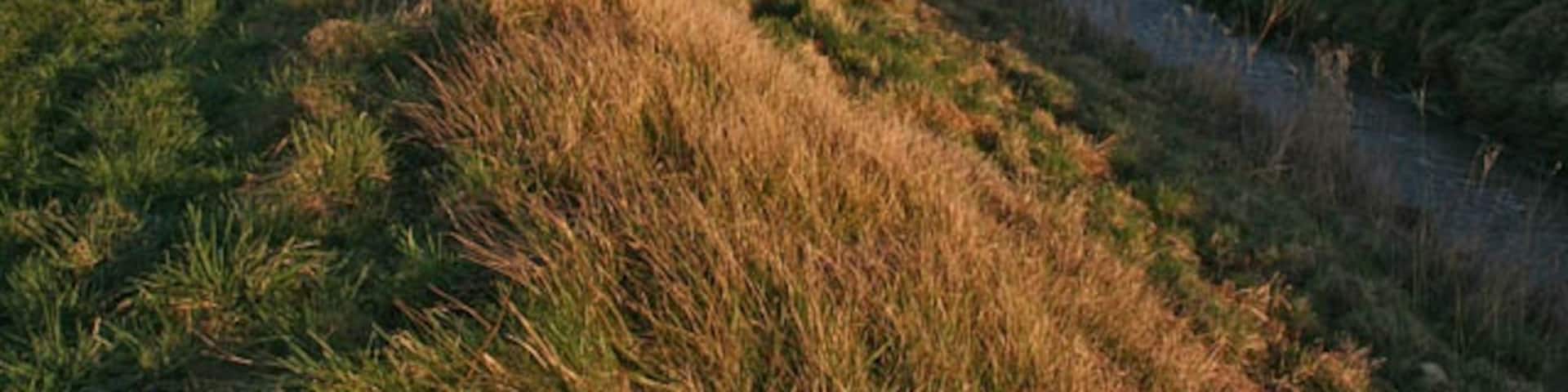 South Beck and Willoughby Road Osbournby can be seen in the distance.