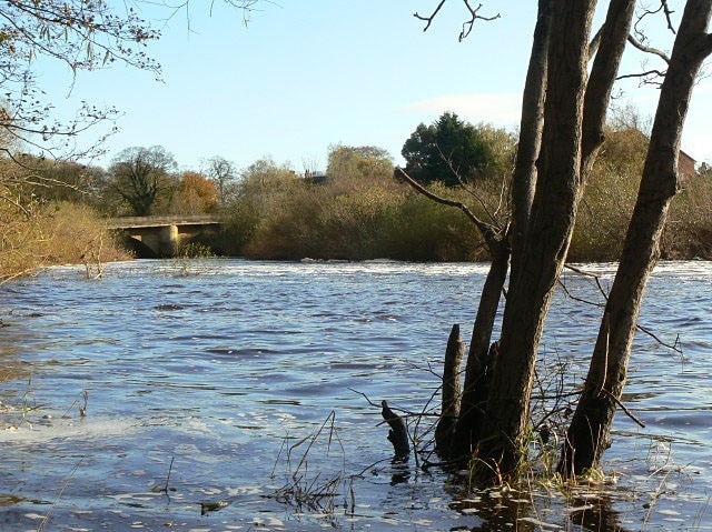 Photo "Langthorpe" by Alan Murray-Rust (CC BY-SA) / Cropped from original