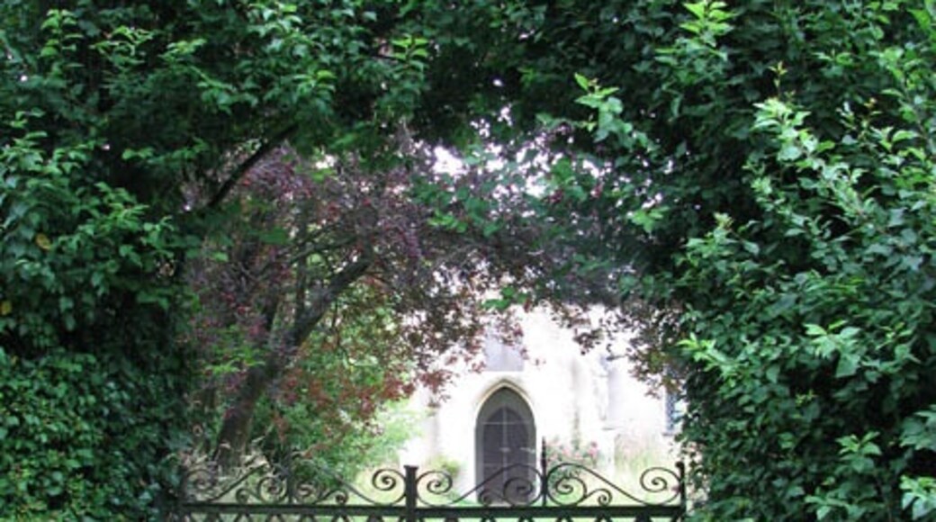 Foto „Bracon Ash“ von Evelyn Simak (CC BY-SA)/zugeschnittenes Original