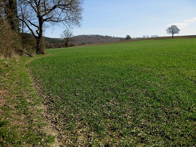 Field boundary south of Checkley The boundary follows the course of the Pentaloe Brook.