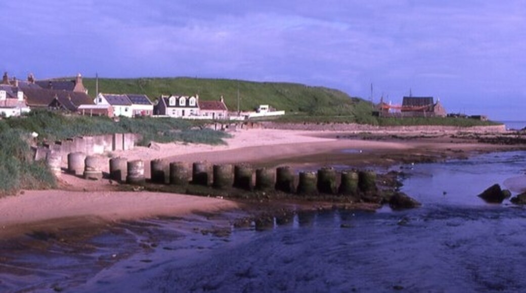 Photo "Cruden Bay" by Anne Burgess (CC BY-SA) / Cropped from original