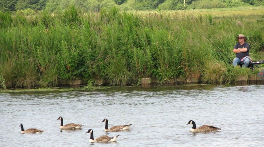 Foto „Claxton“ von Evelyn Simak (CC BY-SA)/zugeschnittenes Original