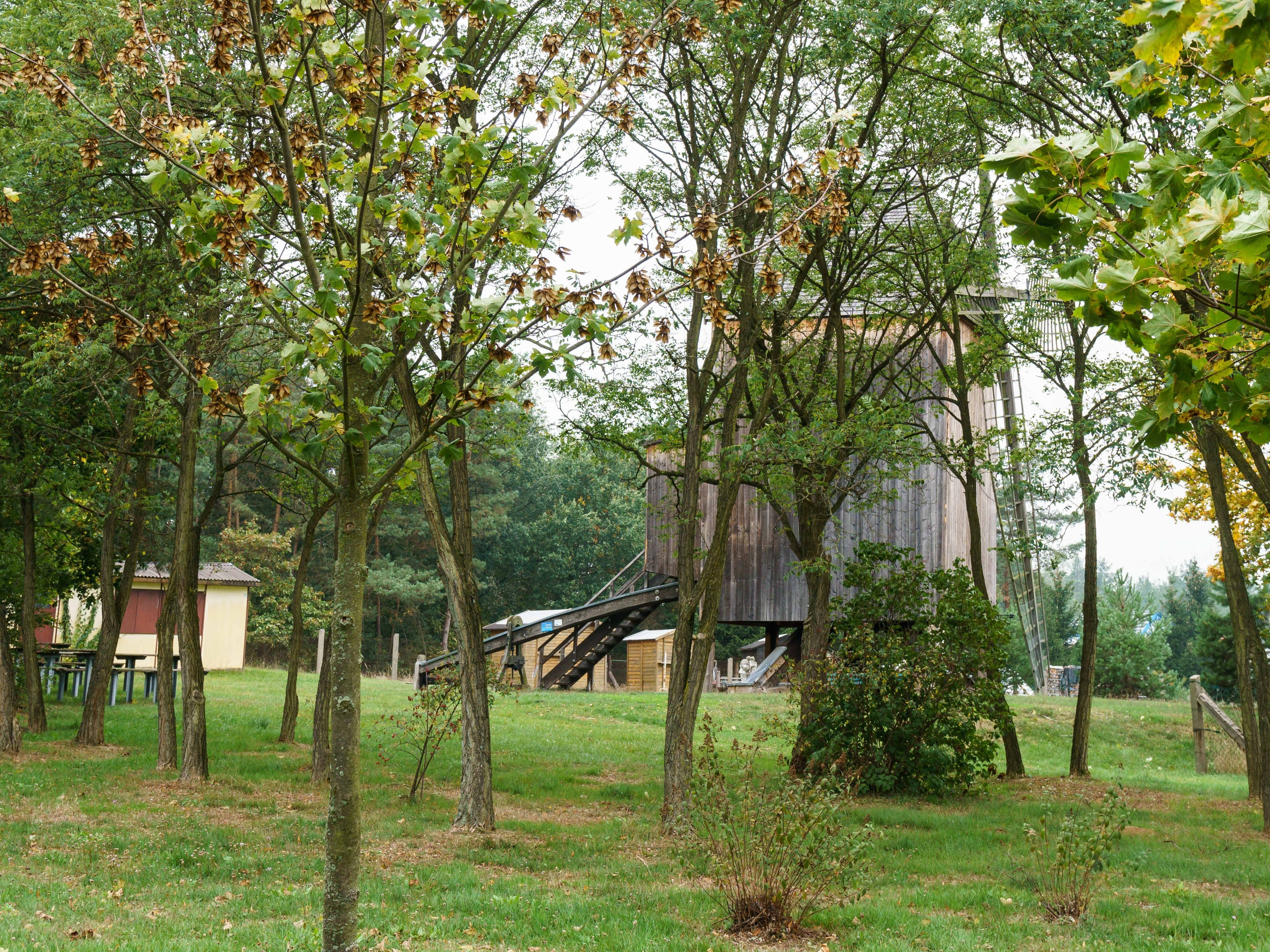 Photo "Genthin" by Radler59 (CC BY-SA) / Cropped from original