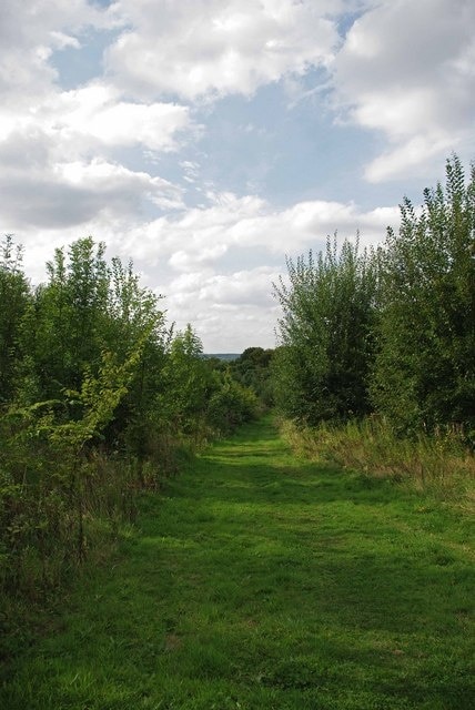 Foto "Stock" de Glyn Baker (CC BY-SA) / Recortada de la original