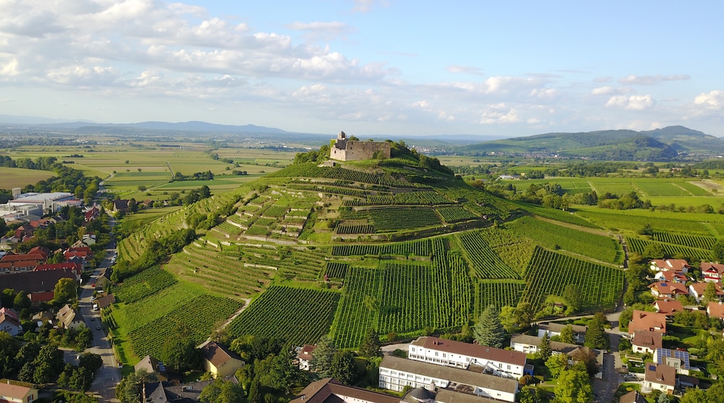 Photo "Staufen im Breisgau" by O oo ooo j (page does not exist) (CC BY-SA) / Cropped from original