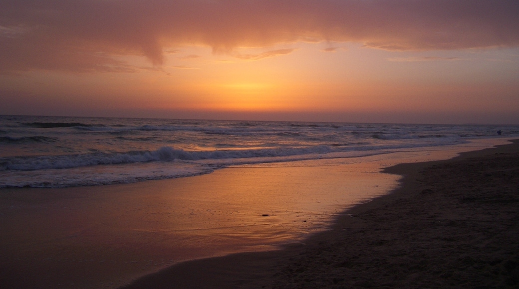 Foto "Playa de El Palmar" di Cayetano Roso (CC BY) / Ritaglio dell’originale