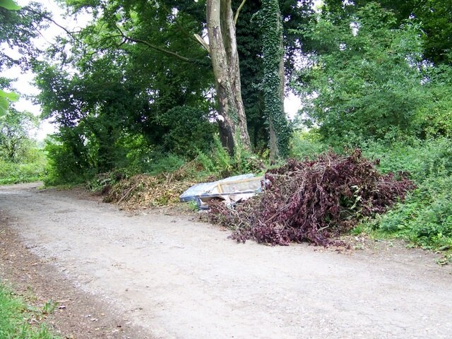 Photo "Netherhampton" by Trish Steel (CC BY-SA) / Cropped from original