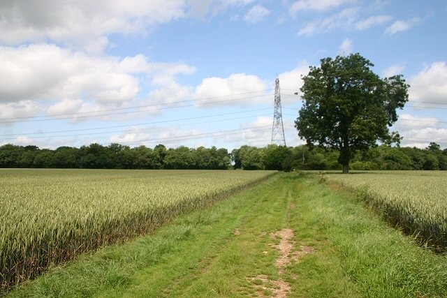 Footpath to Park Farm This path leads north from Hintlesham Golf Club, before turning westwards towards Park Farm on the A1071.