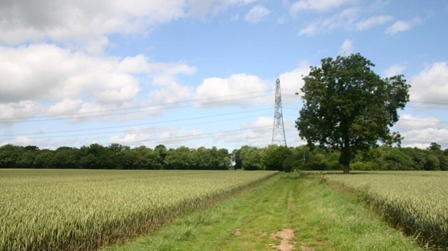 Photo "Footpath to Park Farm This path leads north from Hintlesham Golf Club, before turning westwards towards Park Farm on the A1071." by Bob Jones (Creative Commons Attribution-Share Alike 2.0) / Cropped from original