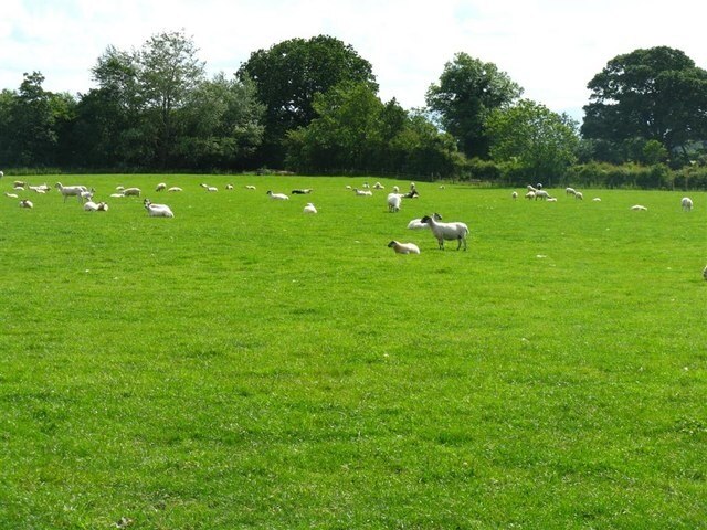 "Stanwix Rural"-foto av M J Richardson (CC BY-SA) / Urklipp från original