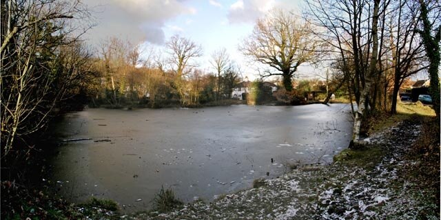 No swimming today. Ice on 107241 kept the waterfowl out of the water.