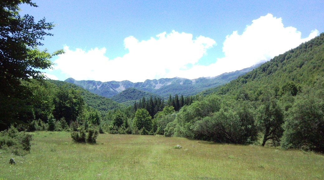 Foto „Nationalpark Abruzzen“ von dimitri.menecali (CC BY)/zugeschnittenes Original