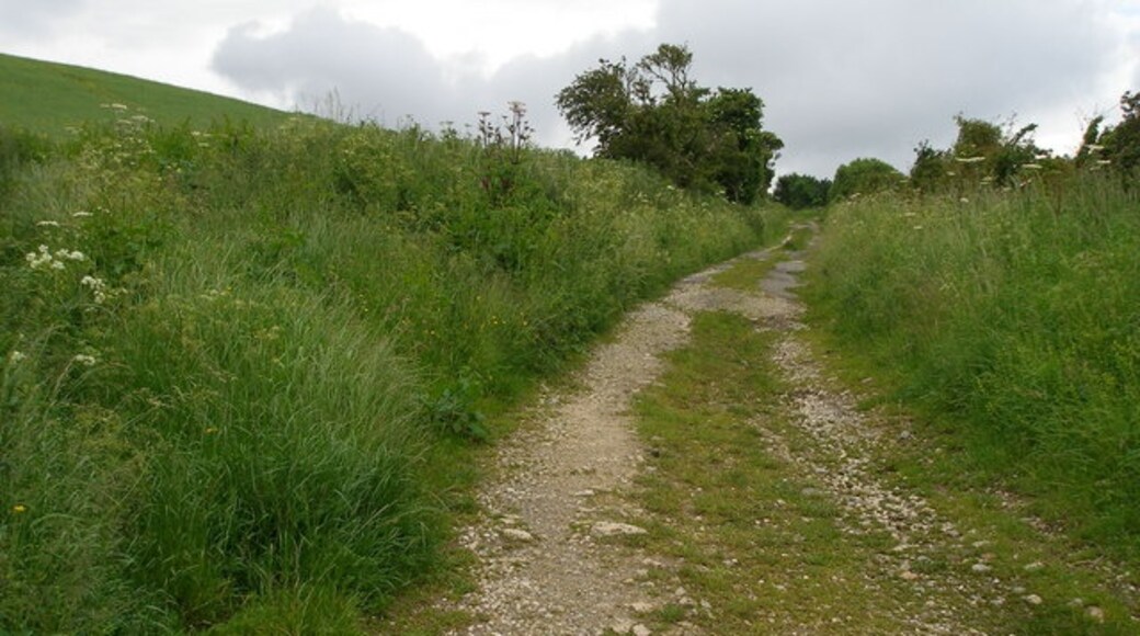 Photo "Easington Village" by Carol Rose (CC BY-SA) / Cropped from original