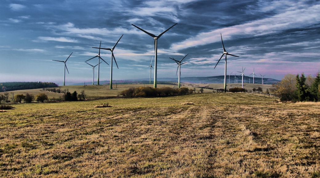 Photo "Vysluni" by Petr Kraumann (CC BY) / Cropped from original