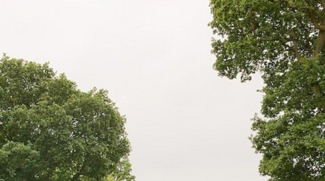 "Tichborne"-foto av Peter Facey (CC BY-SA) / Urklipp från original