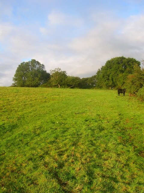 Foto "Newtimber" por Simon Carey (CC BY-SA) / Recortada de la original