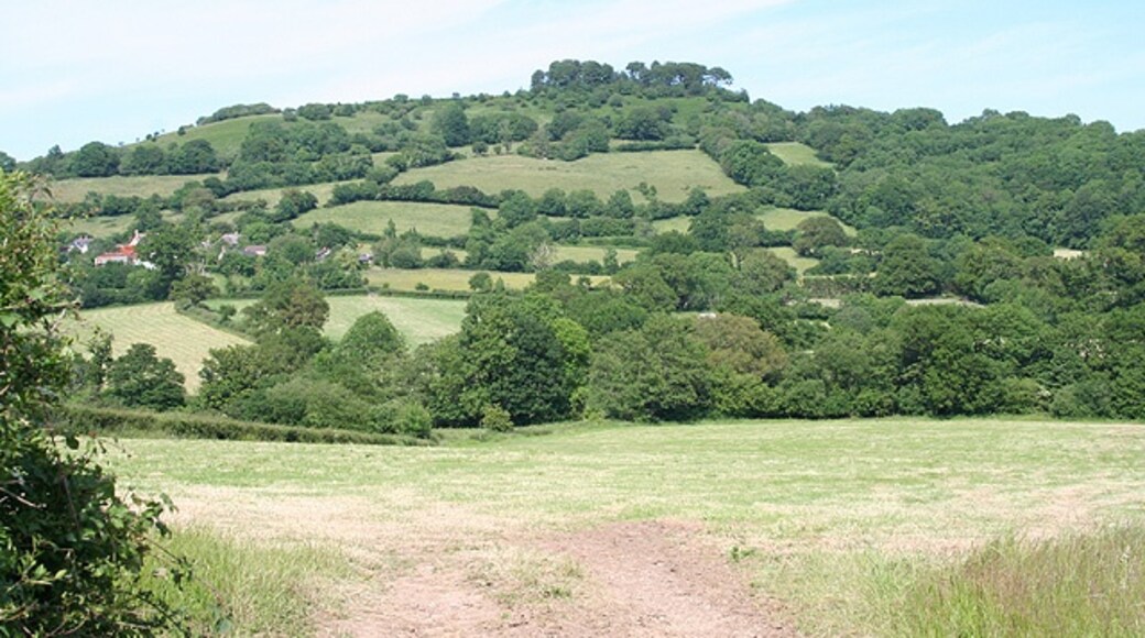 Kuva ”Combe Raleigh” käyttäjältä Martin Bodman (CC BY-SA) / rajattu alkuperäisestä kuvasta