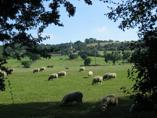 Billede "Saintbury" af Dave Bushell (CC BY-SA) / beskåret fra det originale billede