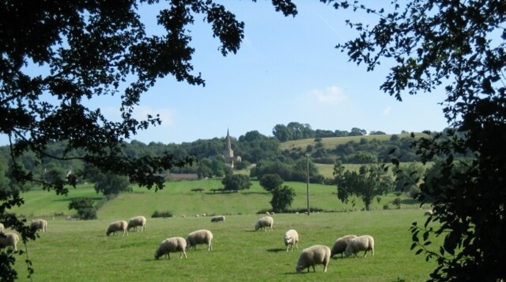 Billede "Saintbury" af Dave Bushell (CC BY-SA) / beskåret fra det originale billede