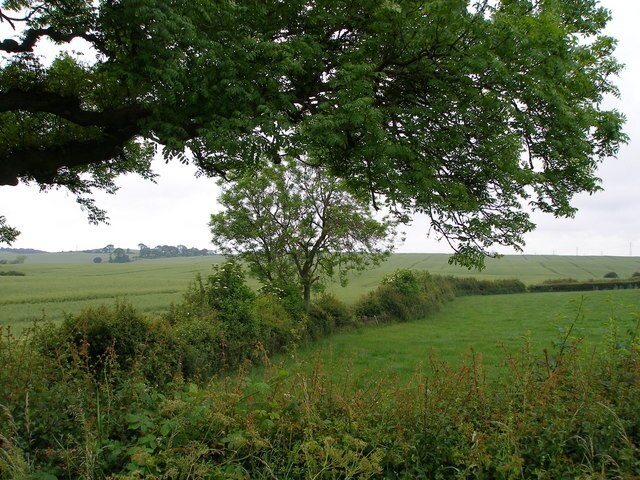 Photo "Easington Village" by Carol Rose (CC BY-SA) / Cropped from original