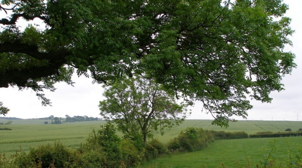 Photo "Easington Village" by Carol Rose (CC BY-SA) / Cropped from original