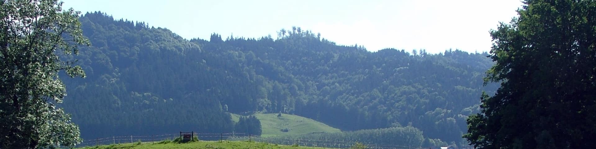 Der Trampelpfad markiert den Zugang zum Kastell.