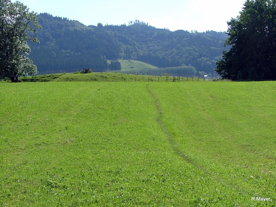 Der Trampelpfad markiert den Zugang zum Kastell.