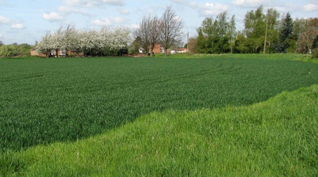 Ảnh "Làng Emneth" của Evelyn Simak (CC BY-SA) / Cắt từ ảnh gốc