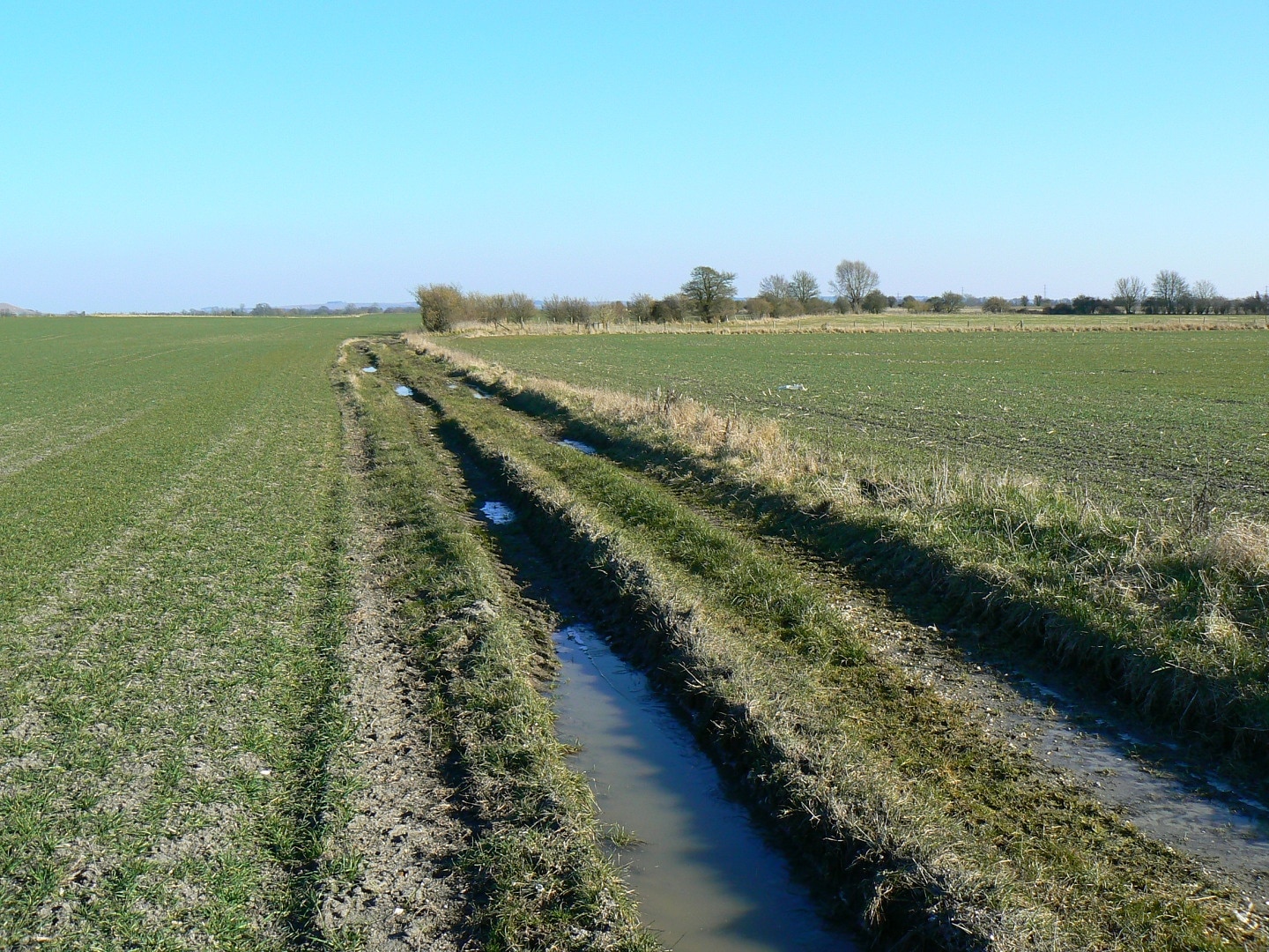 Photo "All Cannings" by Brian Robert Marshall (CC BY-SA) / Cropped from original