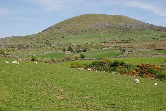 Field north of Byrdir With Moelfre in the distance.