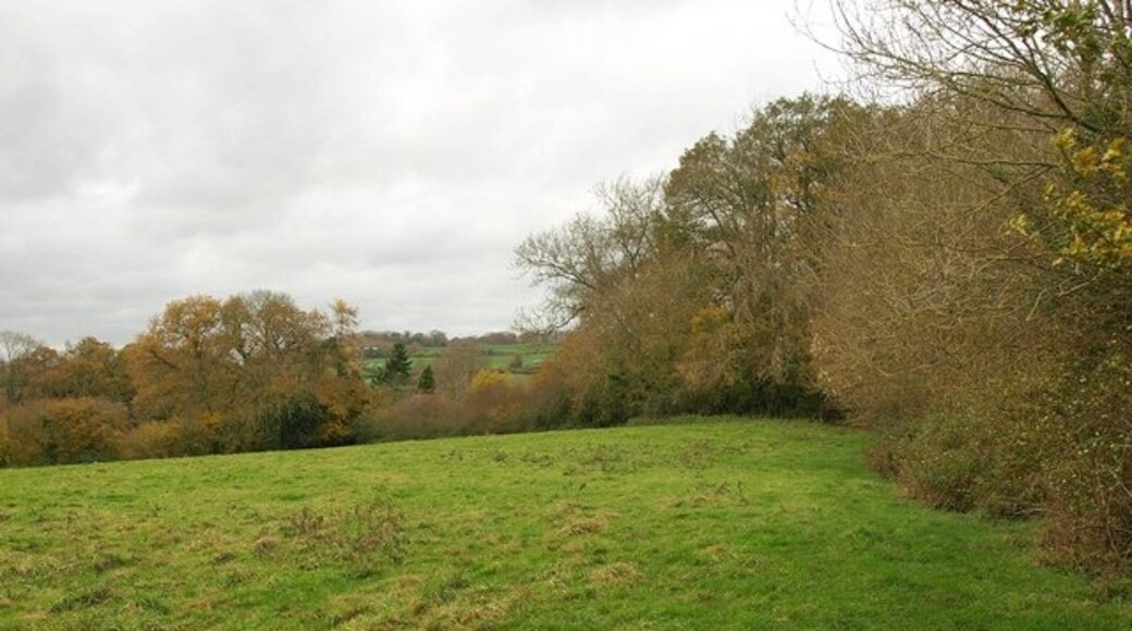 Foto "Ash Priors" de Derek Harper (CC BY-SA) / Recortada do original