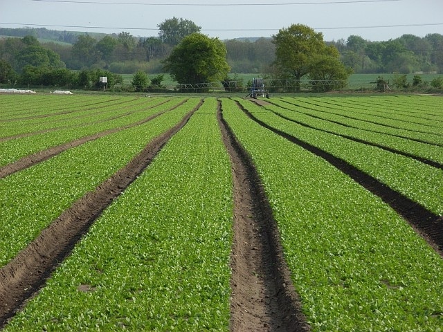 Foto "Manningford" de Andrew Smith (CC BY-SA) / Recortada do original