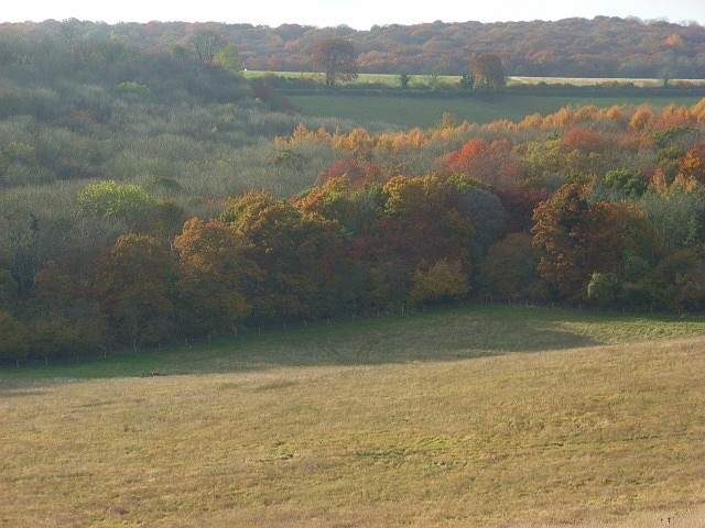 Photo "Great Marlow" by Andrew Smith (CC BY-SA) / Cropped from original