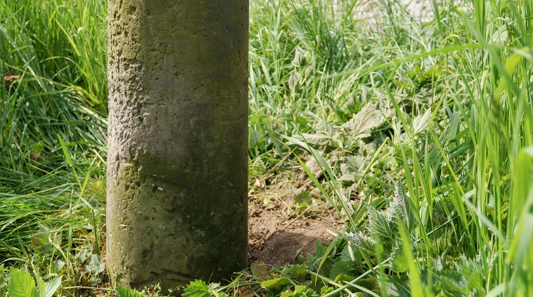 Billede "Braunsdorf" af Radler59 (CC BY-SA) / beskåret fra det originale billede