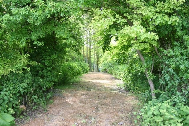 Foto „Newton“ von Duncan Grey (CC BY-SA)/zugeschnittenes Original