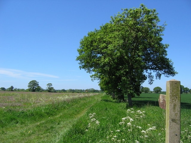 Ảnh "Làng Farlington" của Stephen Horncastle (CC BY-SA) / Cắt từ ảnh gốc