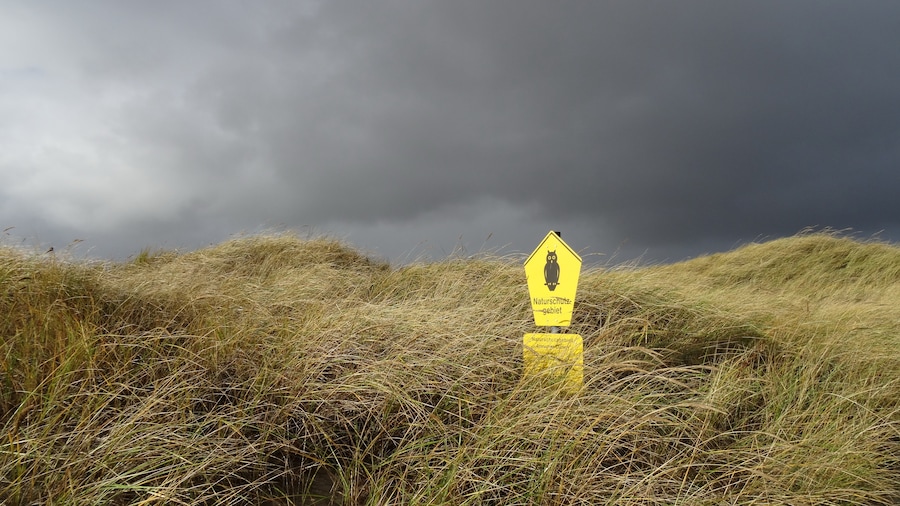 Information sign in the "Nationalpark Wattenmeer" on the Island Amrum in the Northsea