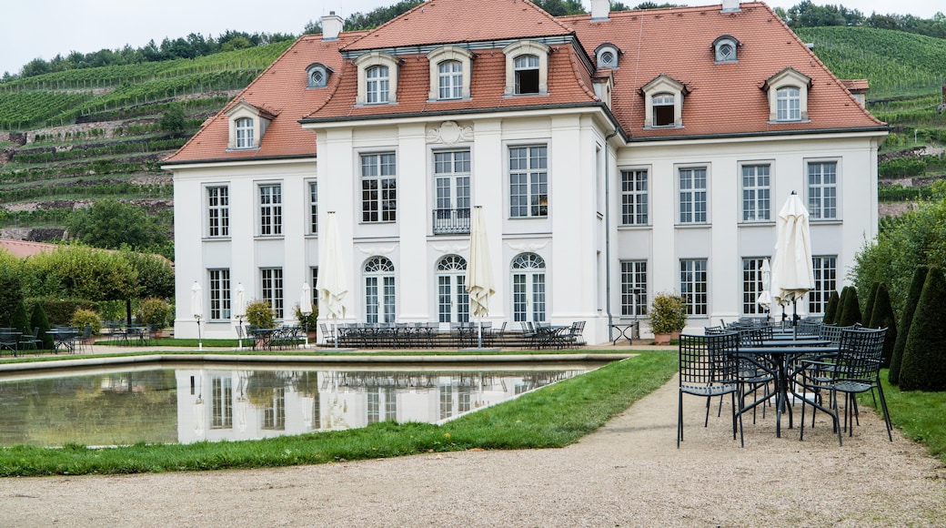 Foto „Schloss Wackerbarth“ von Radler59 (CC BY-SA)/zugeschnittenes Original