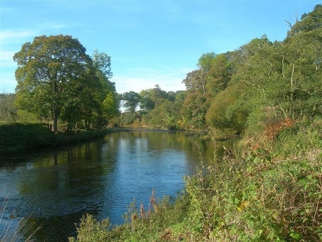 The River Ayr Looking downstream from the western end of Enterkine Holm. Crawfordston Viaduct is just visible in the background, hiding behind some branches.