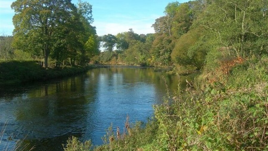 Photo "The River Ayr Looking downstream from the western end of Enterkine Holm. Crawfordston Viaduct is just visible in the background, hiding behind some branches." by Mary and Angus Hogg (Creative Commons Attribution-Share Alike 2.0) / Cropped from original