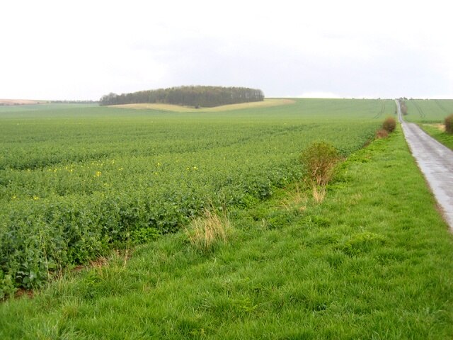 Kuva ”Ickleton” käyttäjältä Rodney Burton (CC BY-SA) / rajattu alkuperäisestä kuvasta