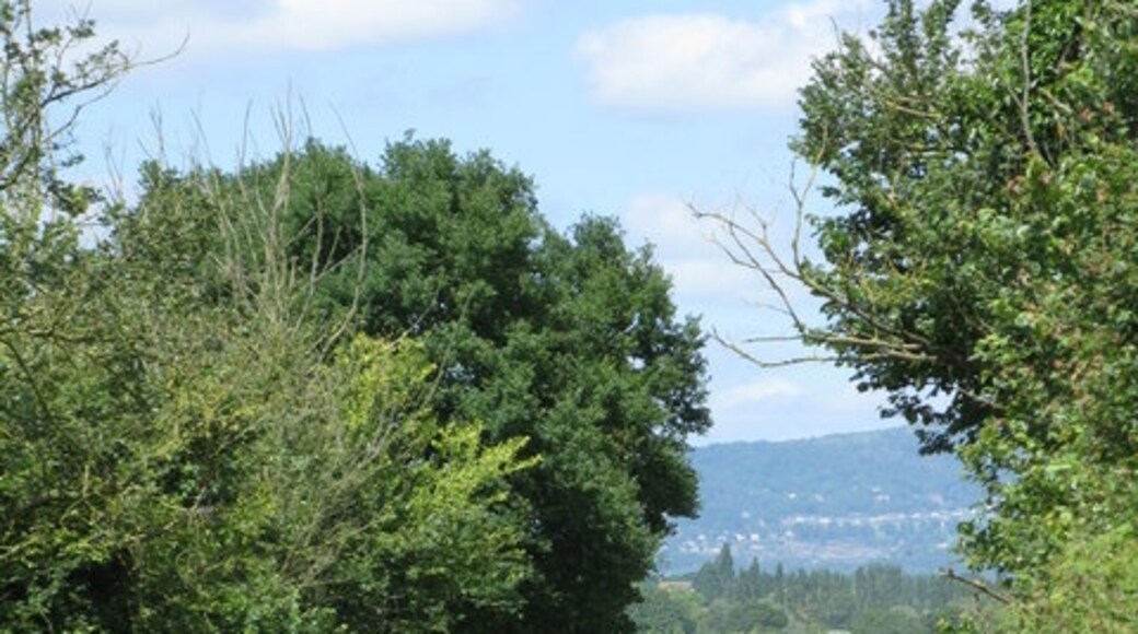 Photo "Queenhill" by Whatlep (CC BY-SA) / Cropped from original